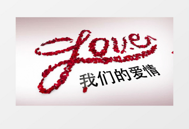 水墨风玫瑰花瓣飞舞爱心结婚婚纱照电子相册AE模板下载