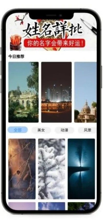 枫叶壁纸