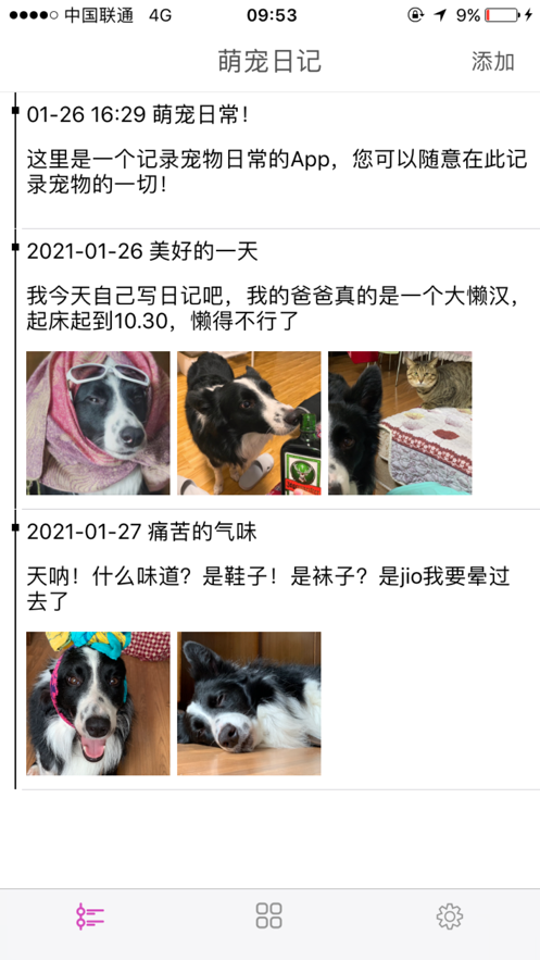 萌宠日常