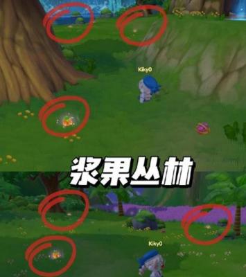 摩尔庄园派对星花在哪里 摩尔庄园派对星花具体位置介绍