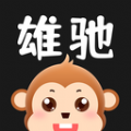 雄驰app官方最新版