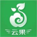云果网免费版苹果版