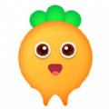 萝卜论坛版本库租房app最新版