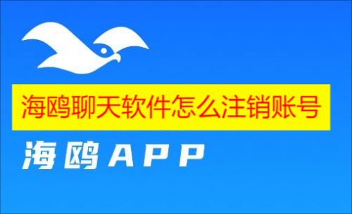 海鸥聊天软件怎么注销账号 海鸥聊天软件账号注销教程分享