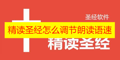 精读圣经怎么下载不了 精读圣经怎么下载到手机上