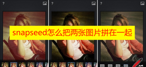 snapseed怎么把两张图片拼在一起且不重叠教程分享