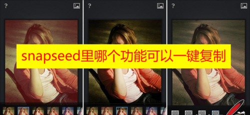 snapseed里哪个功能可以一键复制 snapseed怎么一键复制教程分享