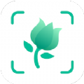 拍照识别植物app最新版