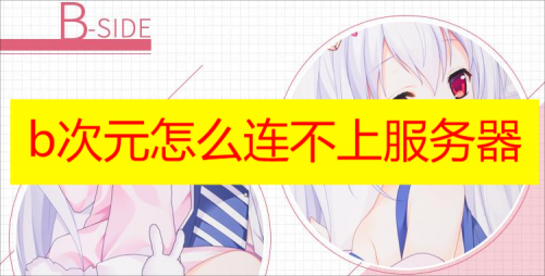 b次元怎么连不上服务器 b次元连不上怎么办解决方法介绍