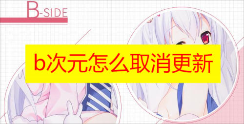 b次元怎么取消更新 b次元自动更新怎么关掉教程分享