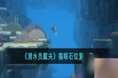 《潜水员戴夫》猫眼石位置一览