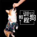 训狗教程大全APP手机版