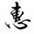惠风书法学堂app安卓版