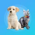 知北翻译器APP最新版