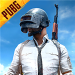 pubg国际服最新安卓下载