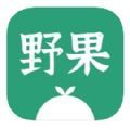 野果阅读app手机版