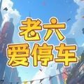 老六爱停车安卓版下载