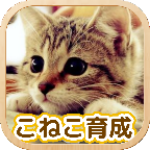 3D猫咪养成汉化版
