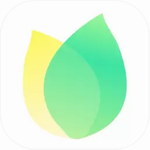 飞火动态壁纸ios版下载