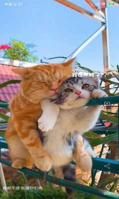 20240711035535259.png