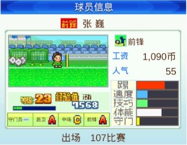 冠军足球物语无限金币版