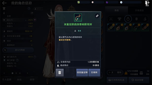 黑色沙漠手游