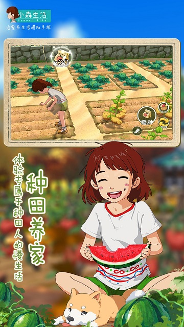 小森生活游戏安卓版下载-1