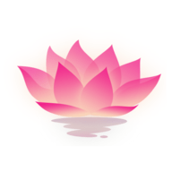 荷花工具箱高级版安卓版下载2025版