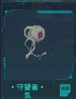 逐光启航2023最新版