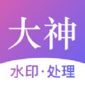 大神水印工具安卓版下载2025版