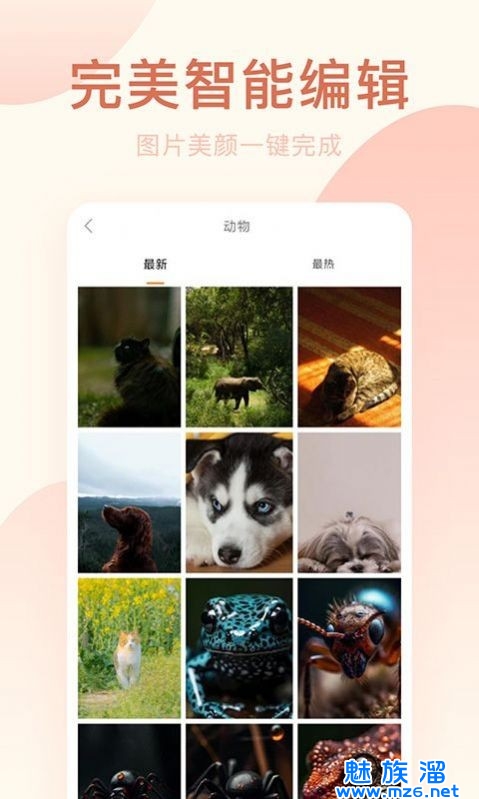 轻氧相机