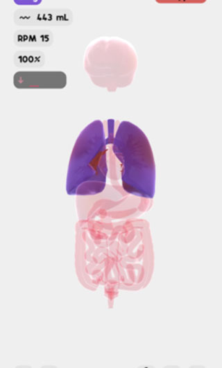 生命人体模拟器免费版