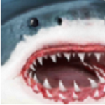 鲨鱼模拟器2024安卓版